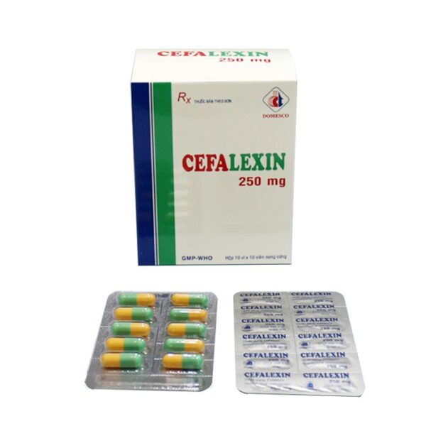 Thuốc kháng sinh DMC Cefalexin 250mg, Hộp 100 viên