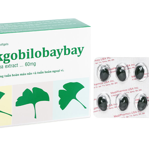 Ginkgobilobaybay tăng cường tuần hoàn máu não