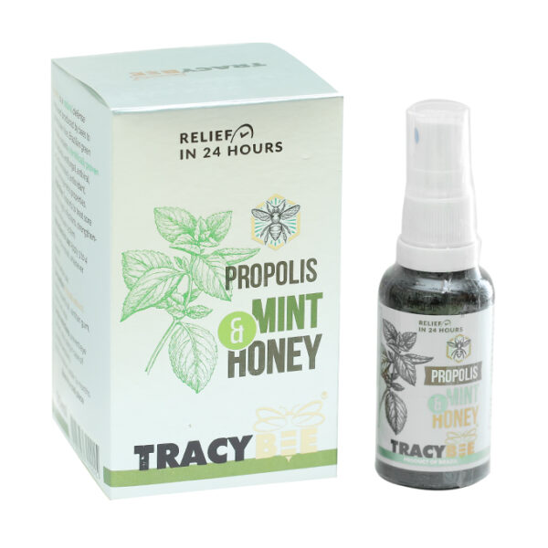 Xịt họng keo ong Tracybee bạc hà giảm đau họng, viêm họng