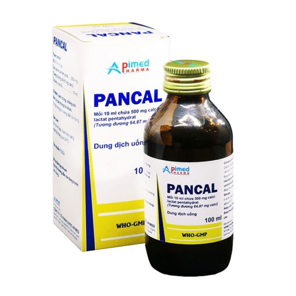 Pancal 500mg Apimed 100ml