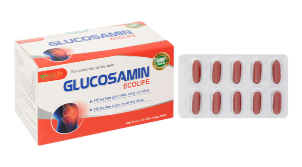 Glucosamin Ecolife hỗ trợ tăng tiết dịch khớp