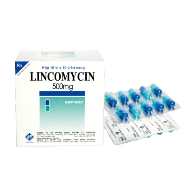 Thuốc kháng sinh Lincomycin 500 VDP - Lincomycin 500mg, Hộp 10 vỉ x 10 viên