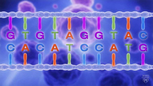 Sự bất thường về số lượng nhiễm sắc thể gây ra những thay đổi trong bộ gene của tế bào. 