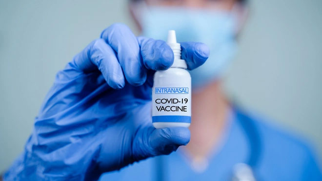 Nhiều quốc gia khác cũng đang nghiên cứu vaccine tiêm qua mũi.