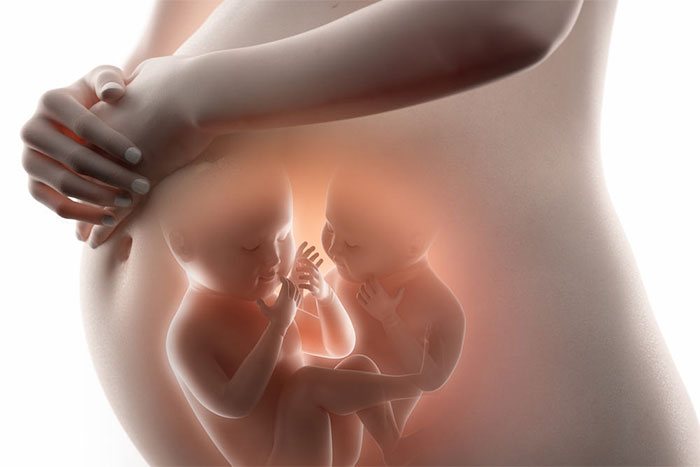 Nhiều người nghĩ rằng cứ làm IVF là được thai đôi và có thể chọn giới tính thai nhi.