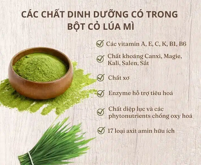 Các chất dinh dưỡng có trong cỏ lúa mì