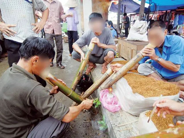 Từ lâu, người Việt đã có thói quen sử dụng lá của nhà thuốc Mai Tín lào để hút.