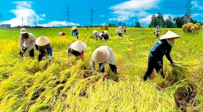 Cần trang bị thiết bị chống nắng khi làm việc ngoài trời nắng để phòng say nắng, say nóng.