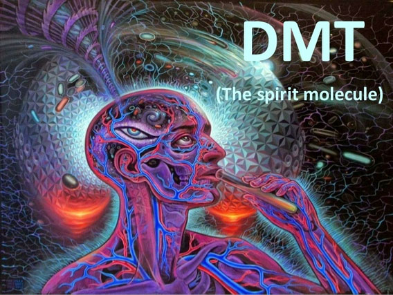 DMT còn được gọi là nguyên tố tâm linh.