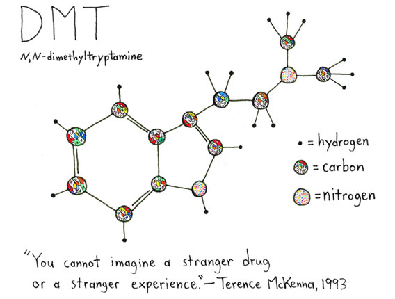 Công thức hóa học của DMT.