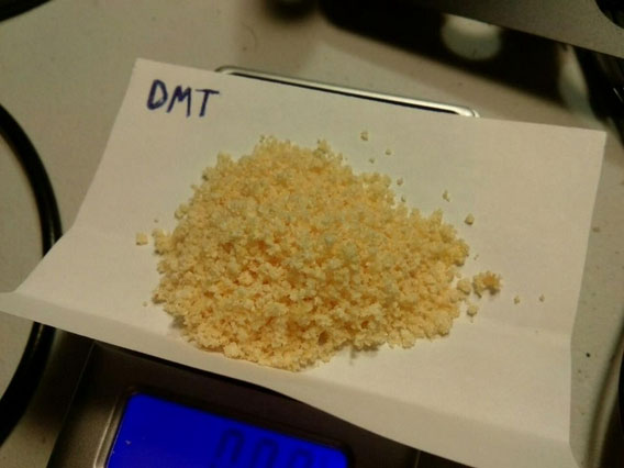 DMT dưới dạng bột.